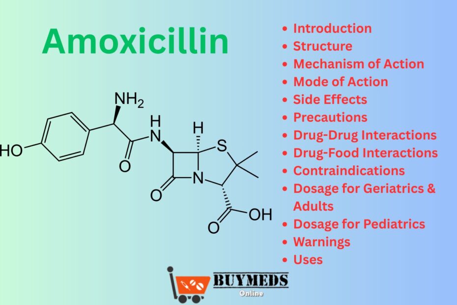 Amoxicillin: Uses, Side Effects, Dosage, Interactions & Expert Advice